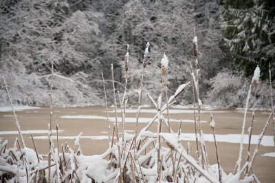 DSC_6283.jpg