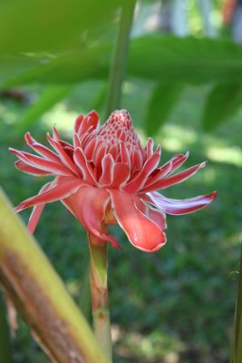 IMG_8099.JPG