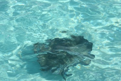 IMG_8307.JPG