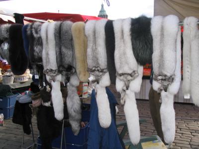 157_5780.JPG