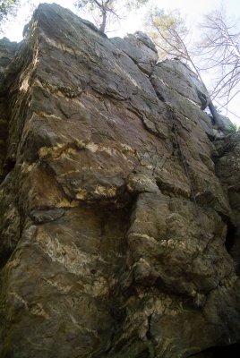 DSCF4096.jpg
