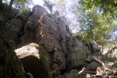 DSCF4113.jpg