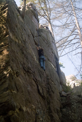 DSCF4121.jpg