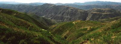 Bolivia foothills