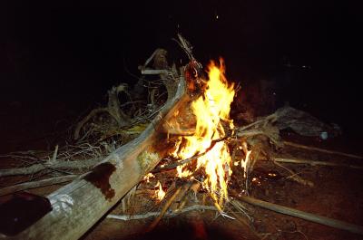 Instant Bonfire