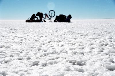 The Surface of the Salar