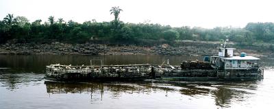 Floating farm