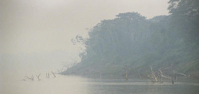 Mist