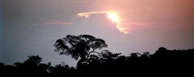 Sun behind a cloud