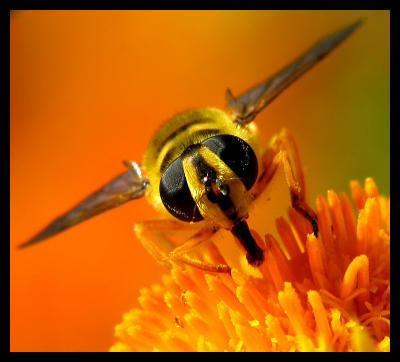 Picture-2509n_filtered.jpg