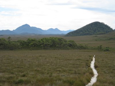 Looking back towards the Melaleuca airstrip