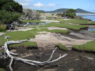 East side of New River Lagoon