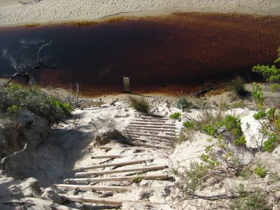 Steep ladder down to Milford Creek