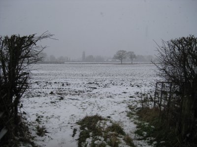 View across the local fields