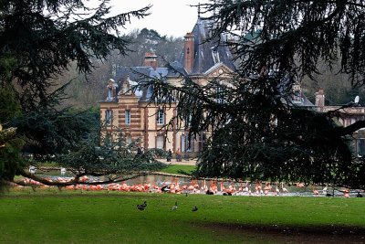 chateau de Sauvage