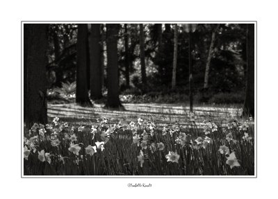 parc floral de vincennes