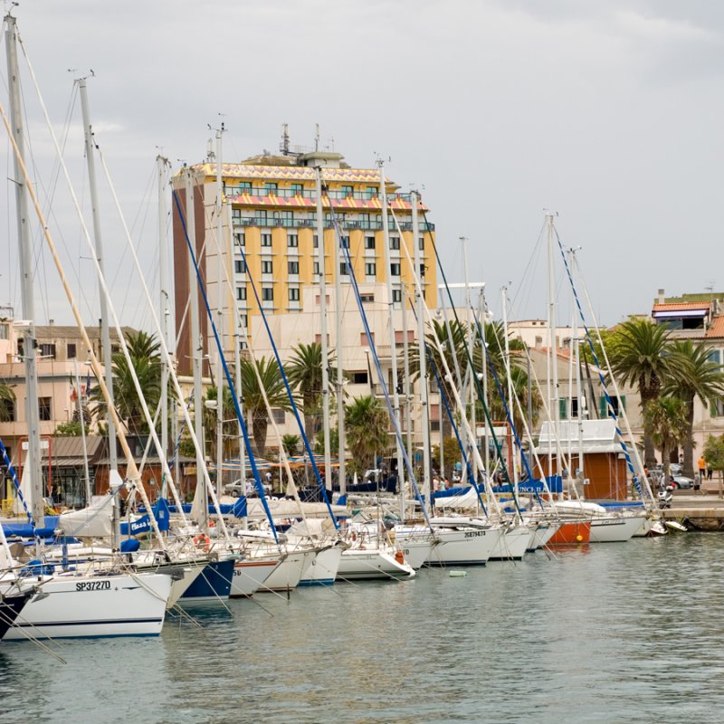 DSC_10810.jpg