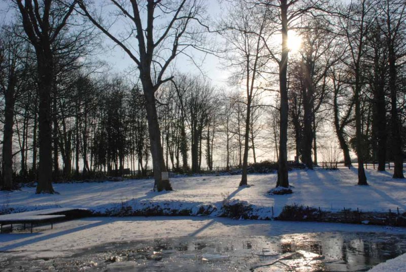 Patshull Park