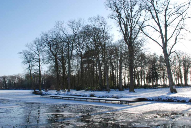 Patshull Park