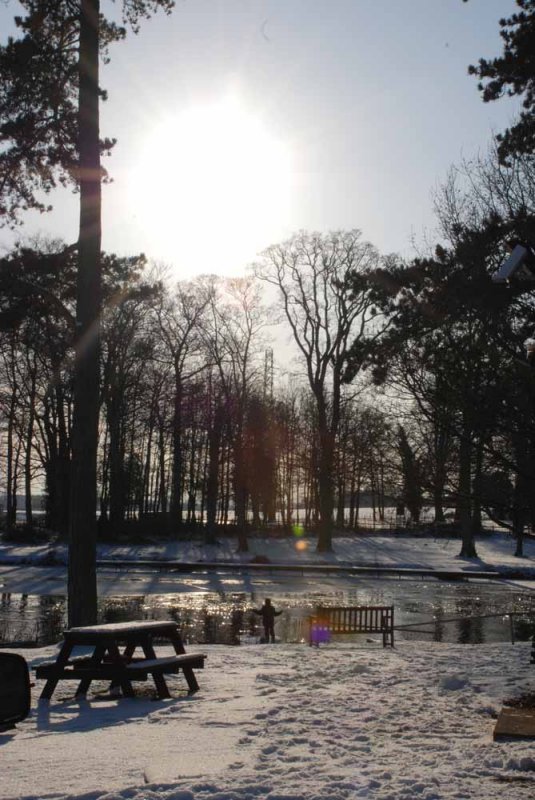Patshull Park