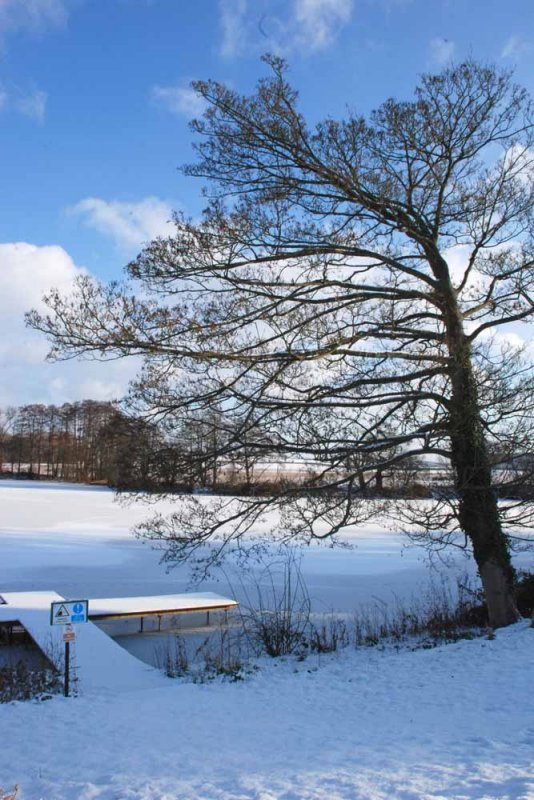 Patshull Park