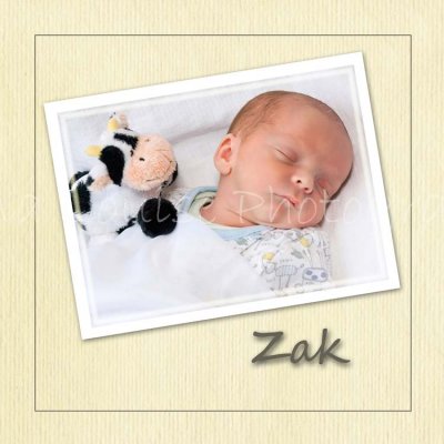 Zak's Storybook- Newborn