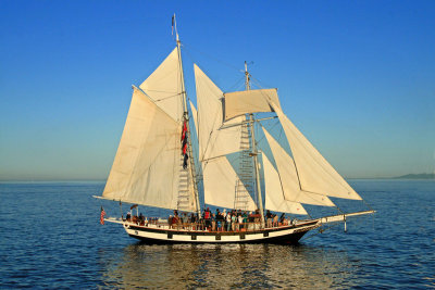 Victoria Tall Ships 2008