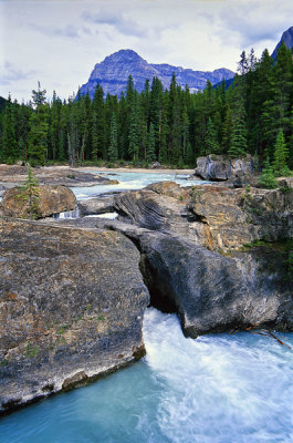 The Natural Bridge