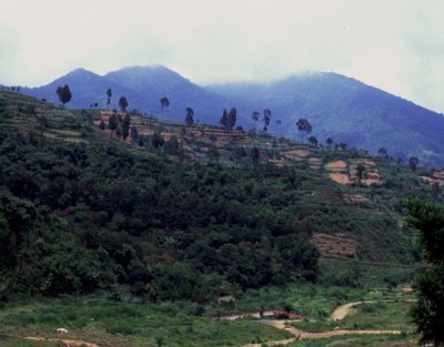 slopes of the Gunung Gedeh