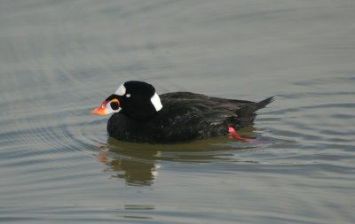 g3/81/760981/3/89645141.kG7Fk9MK.jpg