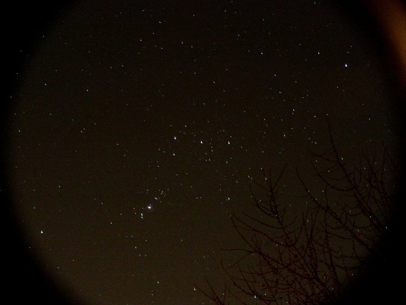 lx3_orion_b300_30dec08.jpg