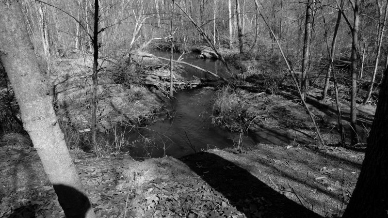 The Rouge_17mar10.jpg