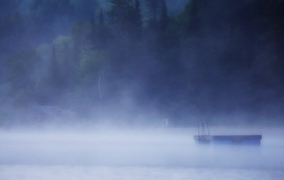 Misty Morning At The Lake