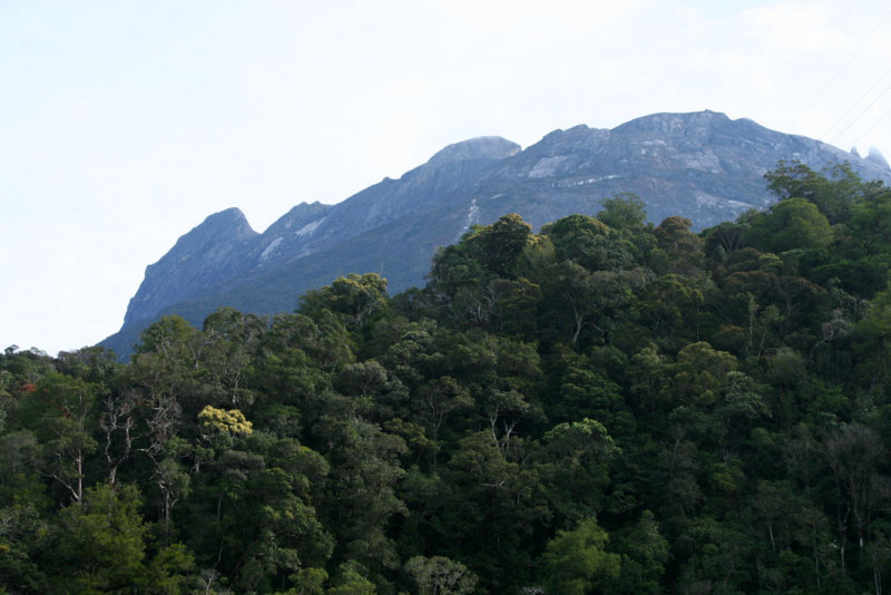 Climbing Mount Kinabalu