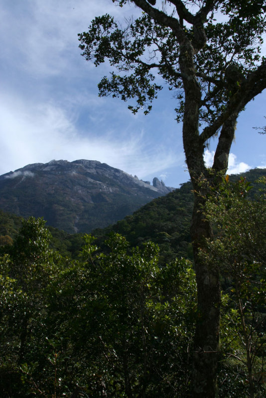 Climbing Mount Kinabalu
