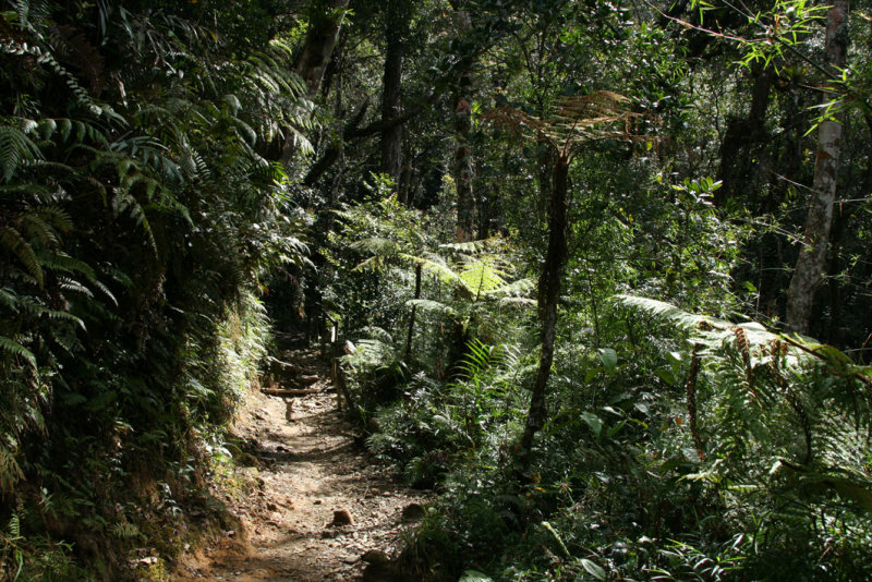 Climbing Mount Kinabalu
