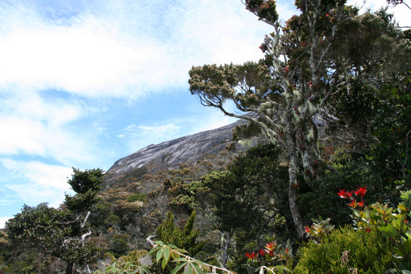 Climbing Mount Kinabalu