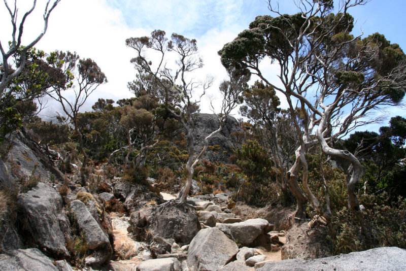 Climbing Mount Kinabalu