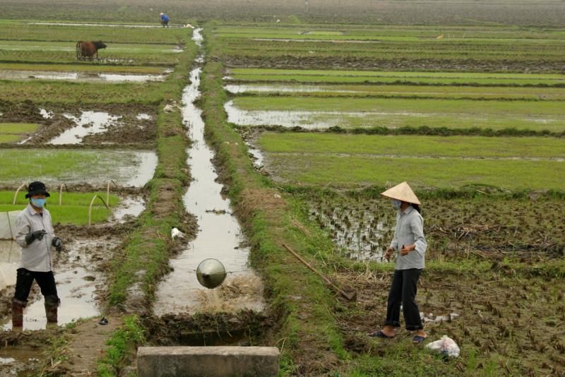 Irrigating the fields