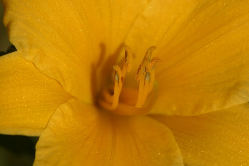 IMG_1073.JPG