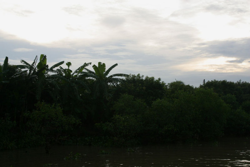 Mekong Delta