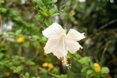 IMG_4498.JPG