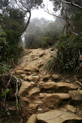 Climbing Mount Kinabalu