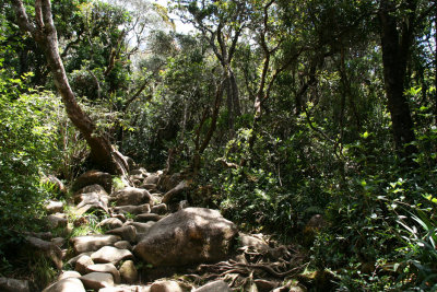 Climbing Mount Kinabalu