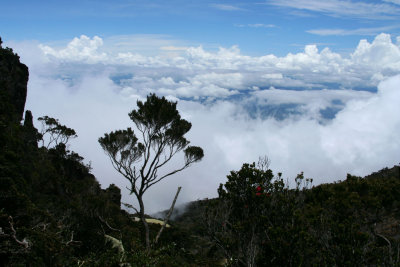 Climbing Mount Kinabalu