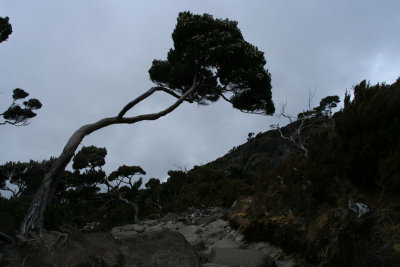 Climbing Mount Kinabalu