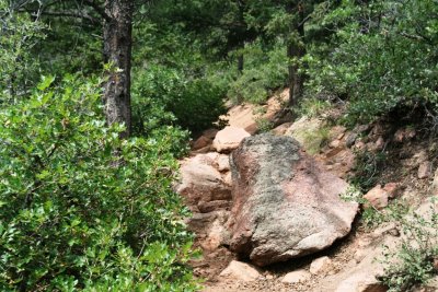 Stanley Canyon Trail