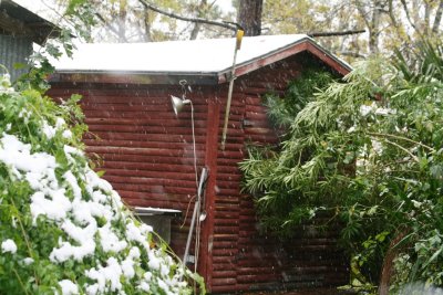 Snow in Fairchilds 12-2009