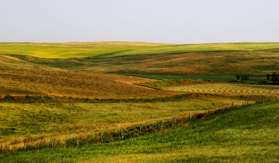 Rolling Farmlands