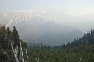 California Wildfire Vista